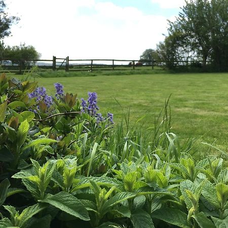 Cotswolds Mine Hill House Bed & Breakfast Lower Brailes Exterior photo